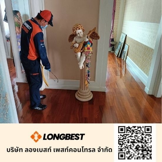 อัดน้ำยากำจัดปลวก บ้าน ทาวน์เฮ้าส์ ทาวน์โฮม  อัดน้ำยากำจัดปลวก บ้าน ทาวน์เฮ้าส์ ทาวน์โฮม