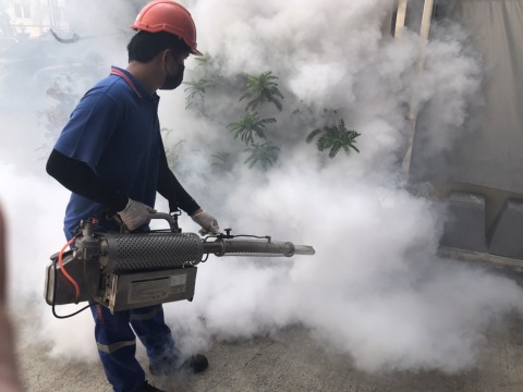 กำจัดยุงลาย บ้านและอาคาร