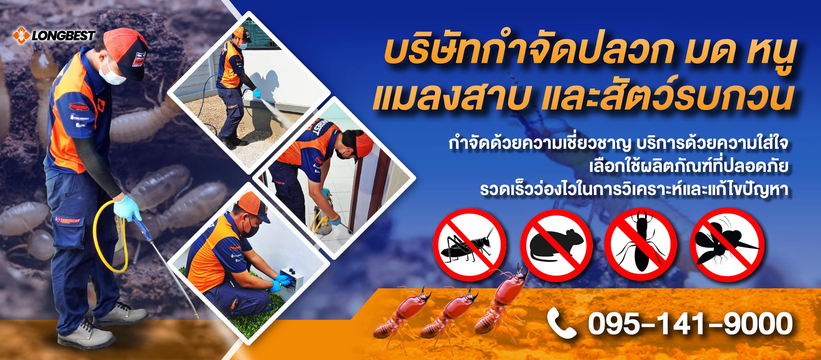 บริษัทกำจัดปลวกกำจัดมดแมลงสาบและรับกำจัดหนู