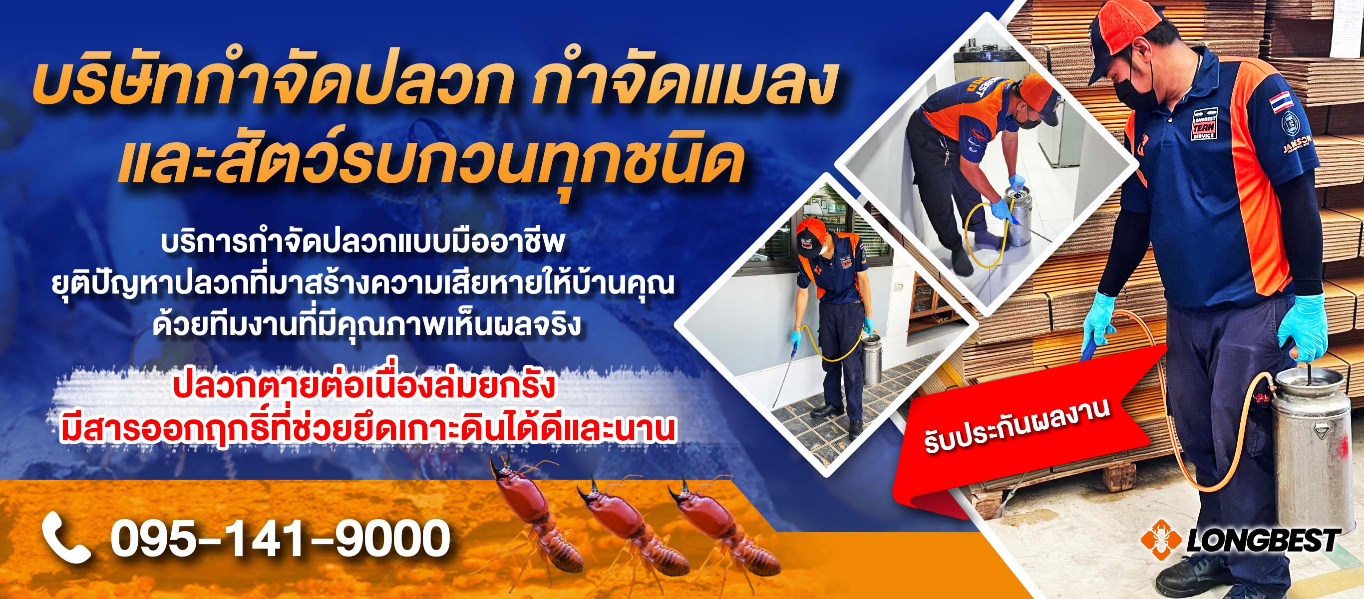 บริษัทกำจัดปลวกกำจัดมดแมลงสาบและรับกำจัดหนู