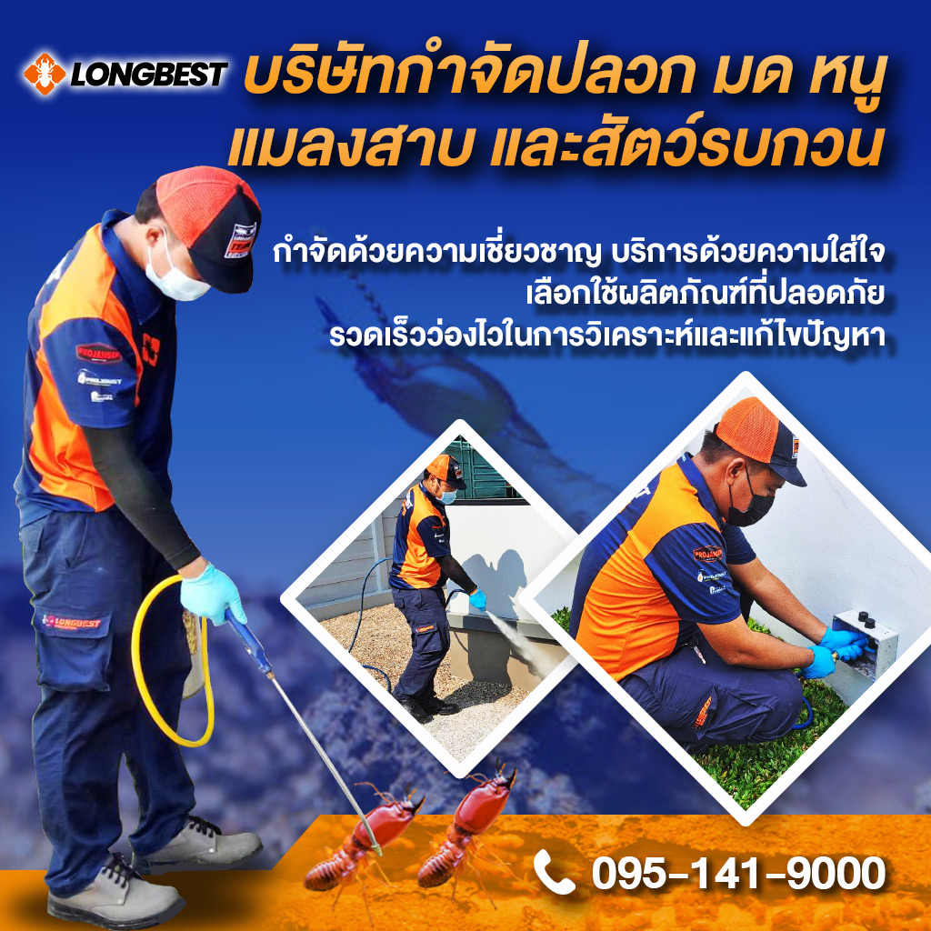 บริษัทกำจัดปลวกกำจัดมดแมลงสาบและรับกำจัดหนู